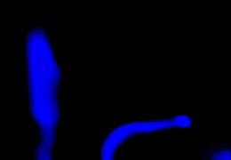 Video Feedback Test 001: Blue Plasma (2013)
